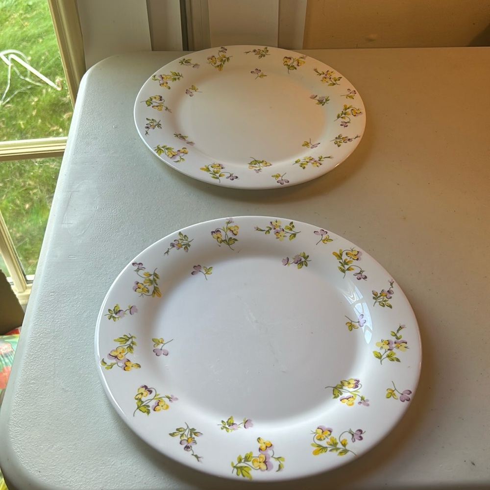 Martha Stewart Everyday 10.5” Vitrelle Floral Set of 2 Plates